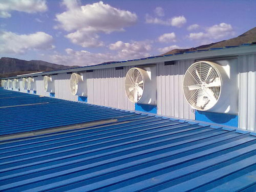 鐵皮廠房降溫這幾種解決方案你知道嗎？