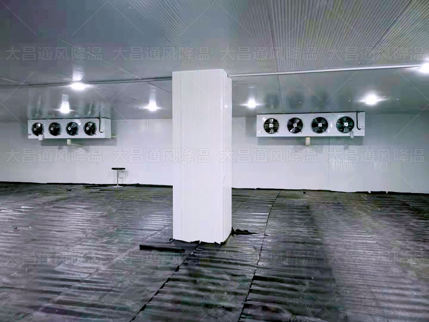 生鮮冷庫、物流冷庫冷鏈為農(nóng)產(chǎn)品保駕護(hù)航